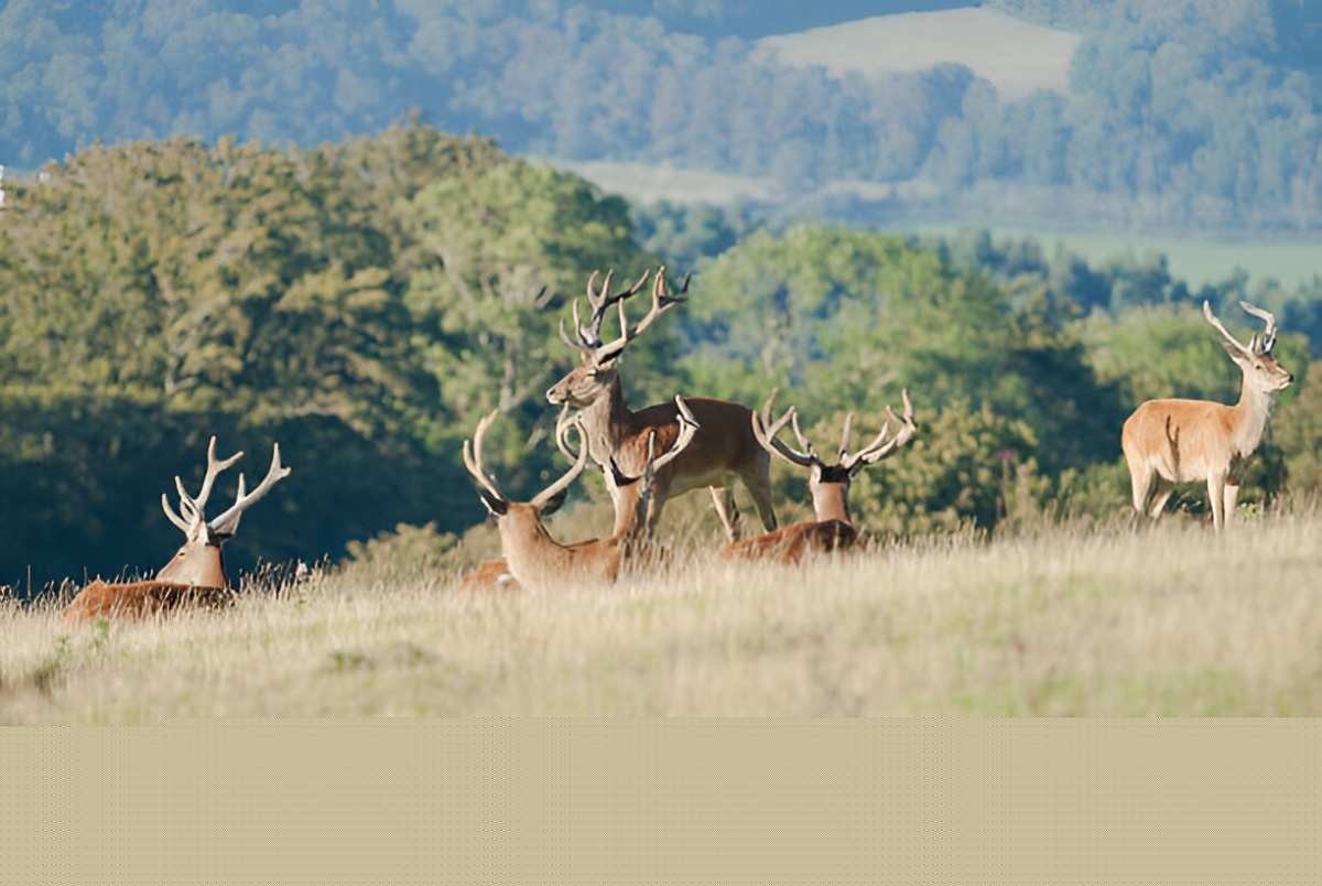 exmpoor national park