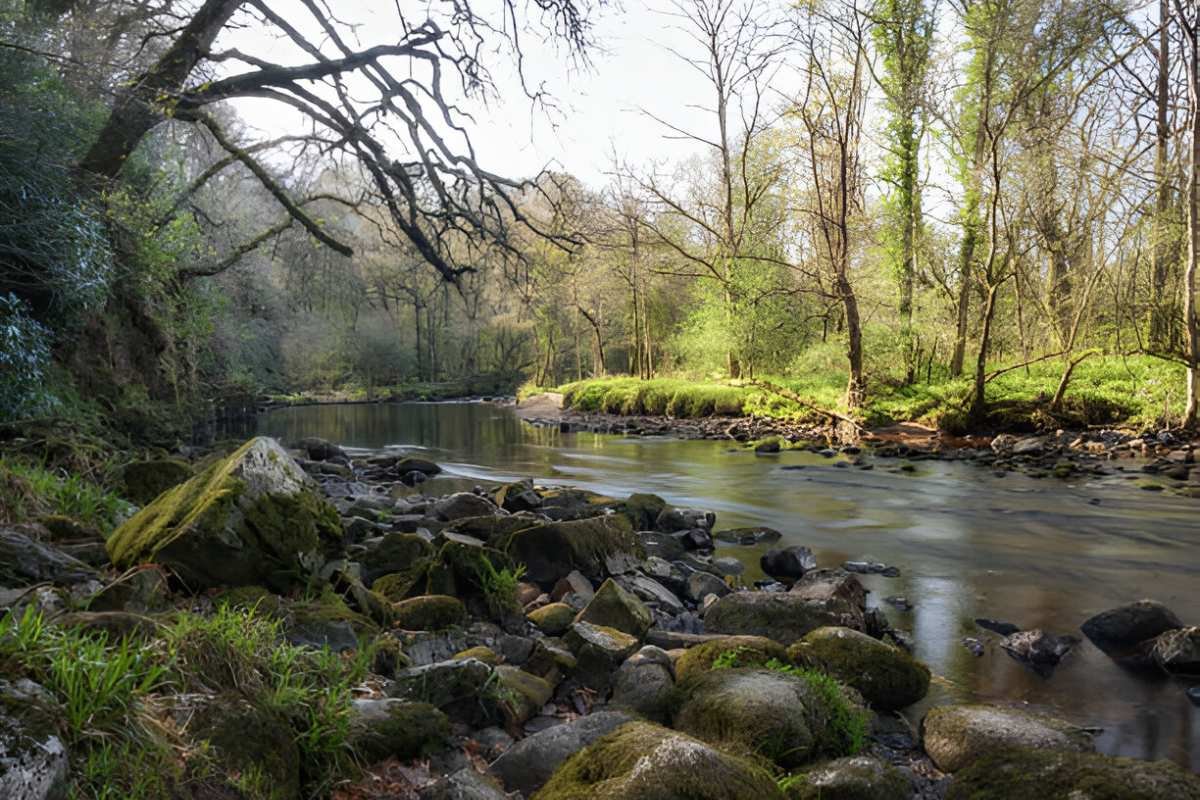 river-dart-